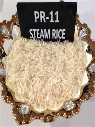 PR-11 Steam Rice